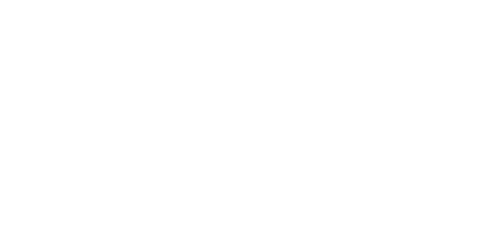 Lithgo Logo_White